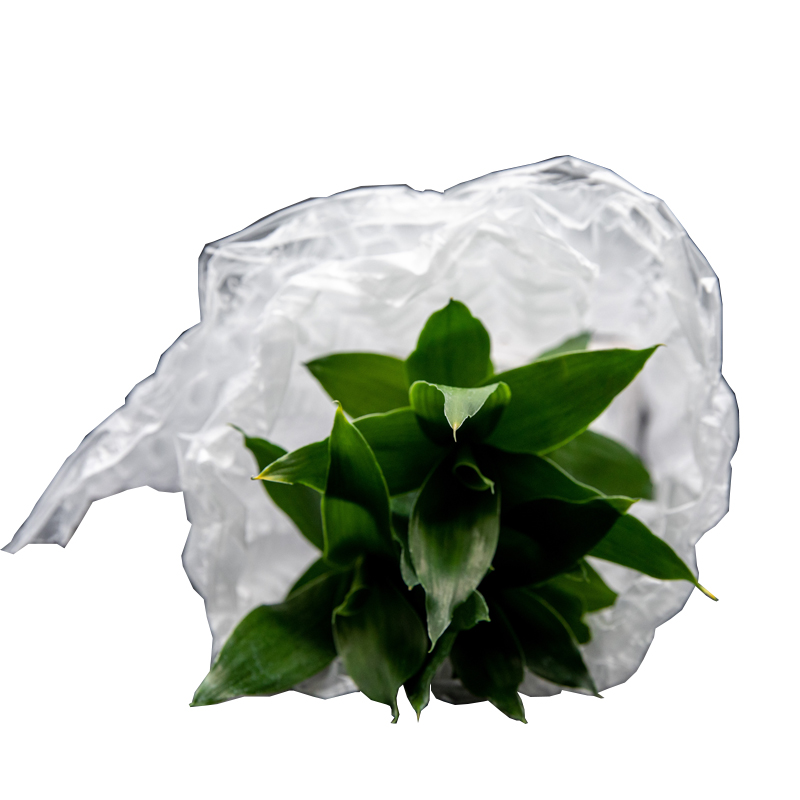 Sacchetti biodegradabili Poly Air Bubble Wrap